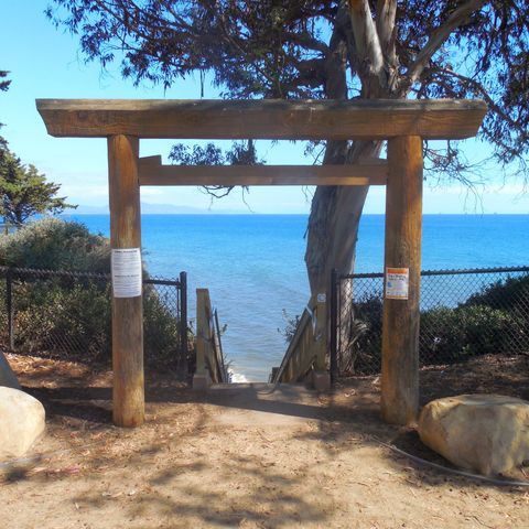 A weathered wooden shinmei torii standing on a bluff-top dirt path, framing a flight of steps that descends toward the ocean, with a large eucalyptus tree, low chain-link fencing, and boulders on either side under a clear blue sky.