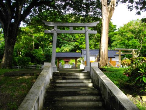 A pale grey stone torii at the top of low concrete steps, with a small shrine building under a dark tiled roof set among large trees behind it.
